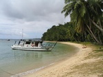 the big whale watching boat