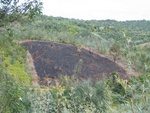 deforestation is still going on