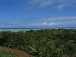 IMG_1066.jpg