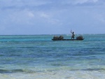 IMG_1070.jpg
