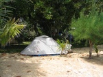 IMG_1074.jpg
