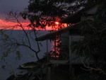 IMG_0620.jpg