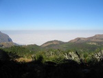 IMG_0651.jpg