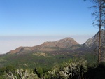 IMG_0652.jpg