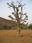 IMG_2906.jpg