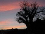 IMG_3070.jpg