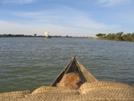 IMG_3121.jpg