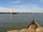 IMG_3123.jpg