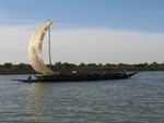 IMG_3124.jpg