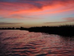IMG_3142.jpg