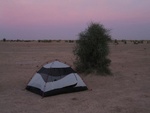 IMG_3153.jpg