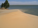 IMG_3225.jpg