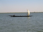 IMG_3244a.jpg