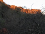 IMG_1322.JPG