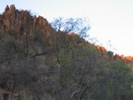 IMG_1323.JPG