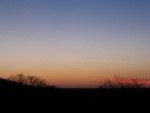 IMG_1339.JPG