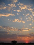 IMG_1368.JPG