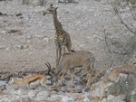 IMG_1398.JPG