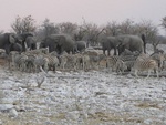 IMG_1435.JPG