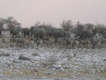 IMG_1439.JPG