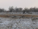 IMG_1442.JPG