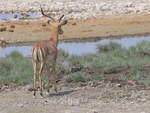 IMG_1461.JPG
