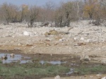 IMG_1462.JPG