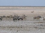 IMG_1488.JPG