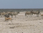 IMG_1490.JPG