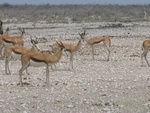 IMG_1491.JPG