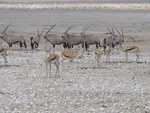IMG_1492.JPG
