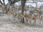 IMG_1496.JPG