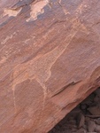 IMG_1528.JPG