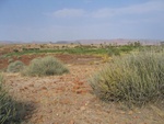 IMG_1572.JPG
