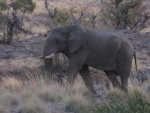IMG_1582.JPG