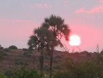 sunset at Palmwag Lodge