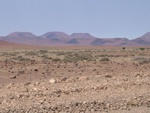 IMG_1597.JPG