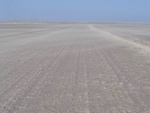 IMG_1619.JPG
