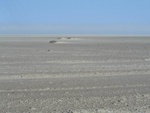 IMG_1622.JPG