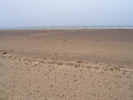 IMG_1627.JPG