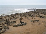 IMG_1645.JPG