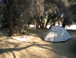 camping in the Namib Desert, Namib Naukluft Park