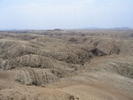 IMG_1696.JPG