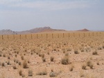 IMG_1705.JPG
