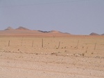 IMG_1707.JPG