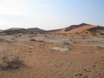 dune 'Big Daddy' on the right hand side