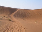 plenty of tourist tracks
