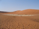 IMG_1734.JPG