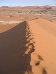 IMG_1743.JPG