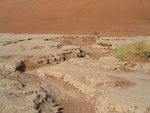 IMG_1763.JPG